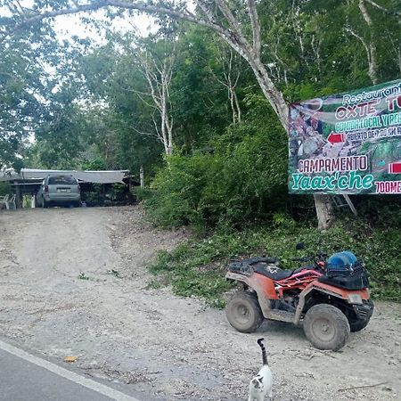 Campamento Yaax Che En Calakmul Conhuas ภายนอก รูปภาพ