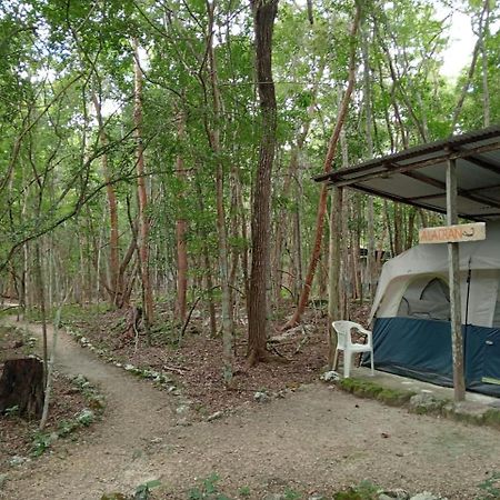 Campamento Yaax Che En Calakmul Conhuas ภายนอก รูปภาพ