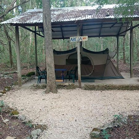 Campamento Yaax Che En Calakmul Conhuas ภายนอก รูปภาพ