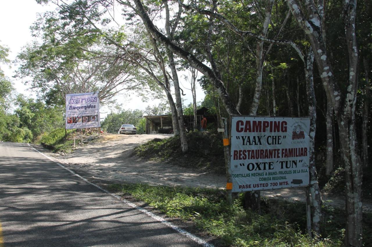 Campamento Yaax Che En Calakmul Conhuas ภายนอก รูปภาพ