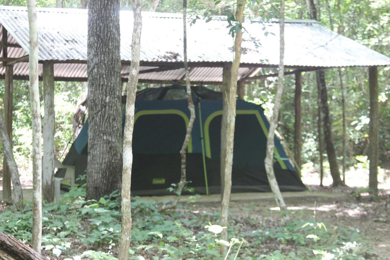 Campamento Yaax Che En Calakmul Conhuas ภายนอก รูปภาพ