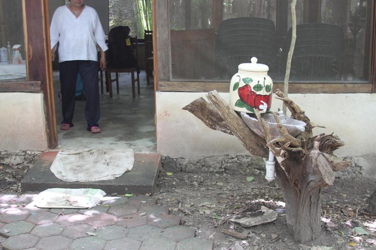 Campamento Yaax Che En Calakmul Conhuas ภายนอก รูปภาพ