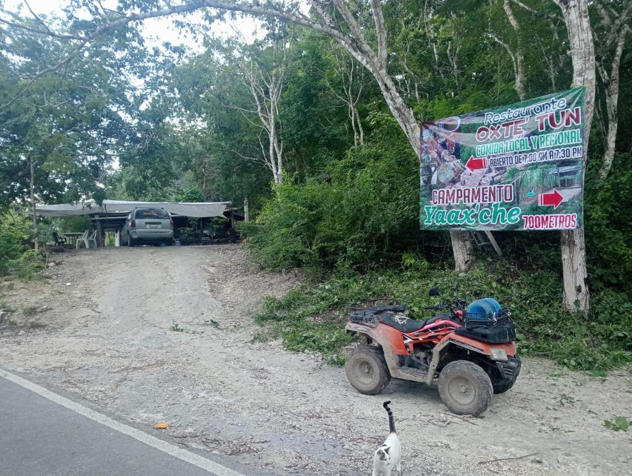 Campamento Yaax Che En Calakmul Conhuas ภายนอก รูปภาพ