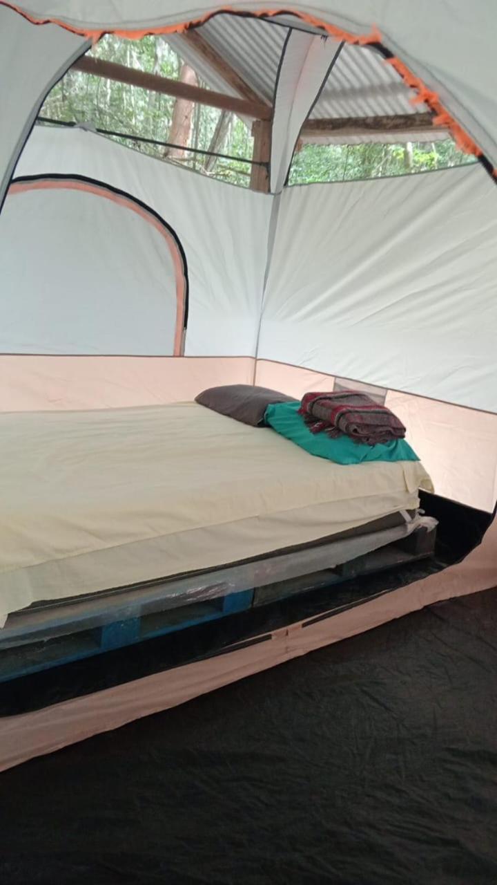 Campamento Yaax Che En Calakmul Conhuas ห้อง รูปภาพ