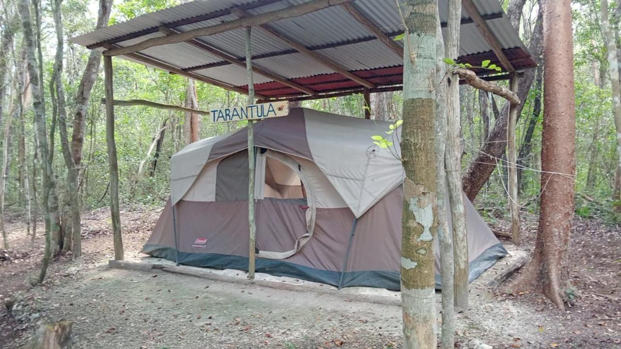 Campamento Yaax Che En Calakmul Conhuas ห้อง รูปภาพ