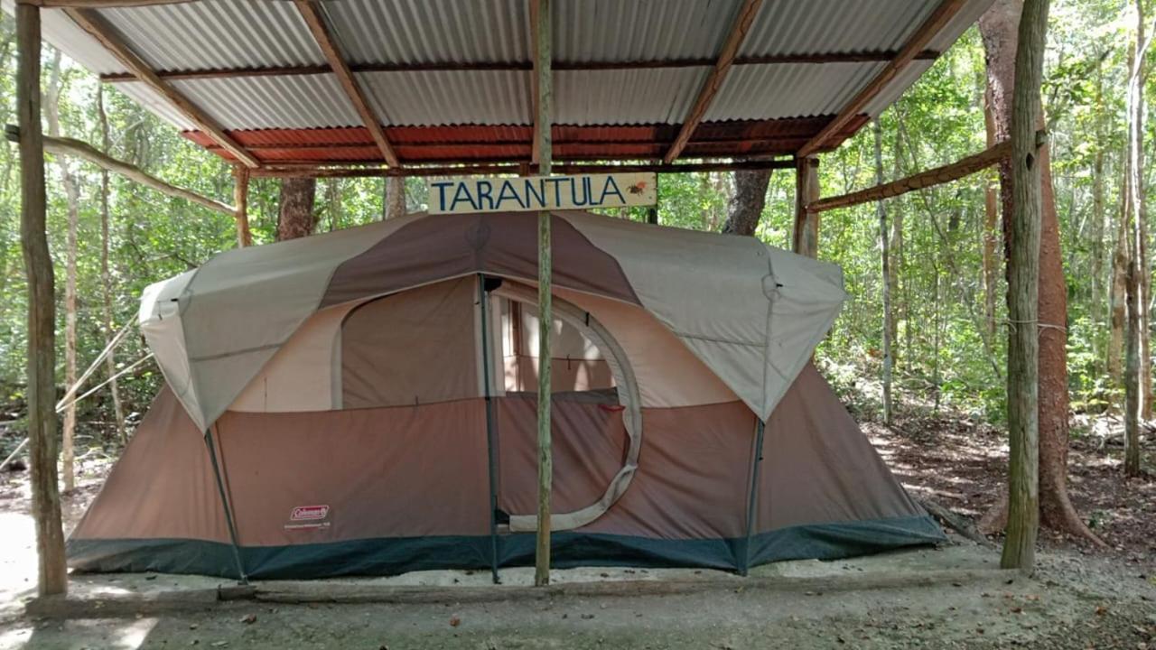 Campamento Yaax Che En Calakmul Conhuas ห้อง รูปภาพ