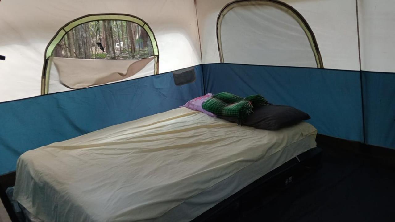 Campamento Yaax Che En Calakmul Conhuas ห้อง รูปภาพ
