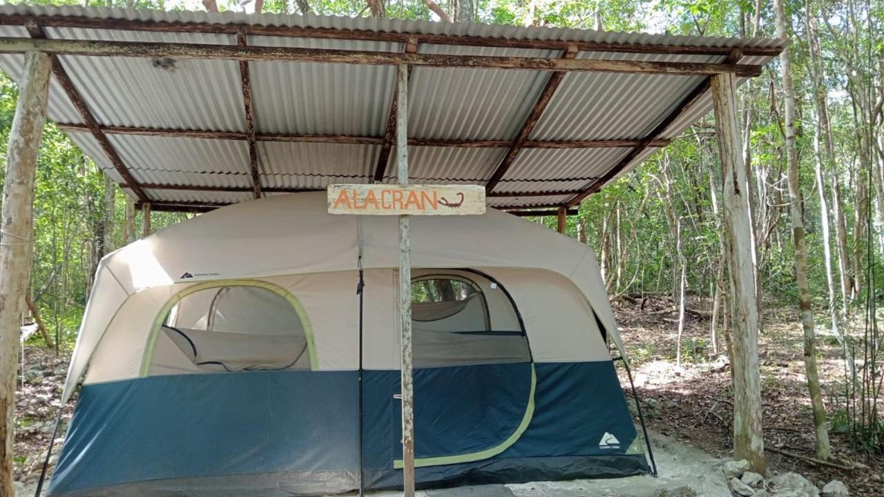 Campamento Yaax Che En Calakmul Conhuas ห้อง รูปภาพ