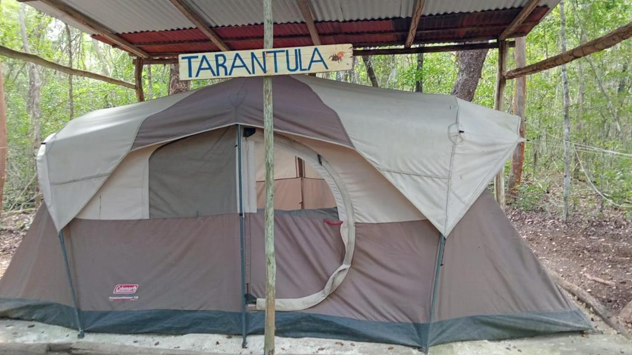 Campamento Yaax Che En Calakmul Conhuas ภายนอก รูปภาพ