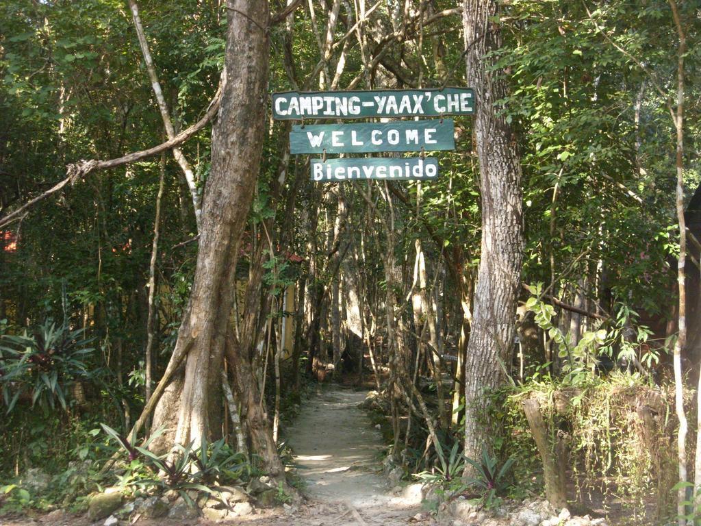 Campamento Yaax Che En Calakmul Conhuas ห้อง รูปภาพ