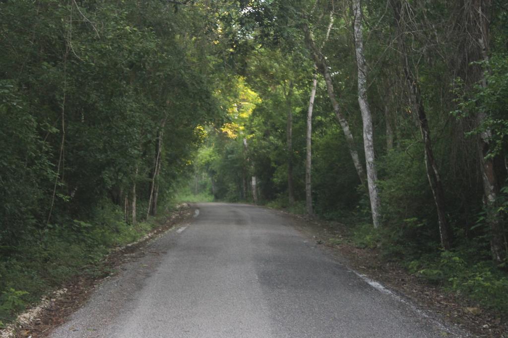 Campamento Yaax Che En Calakmul Conhuas ภายนอก รูปภาพ