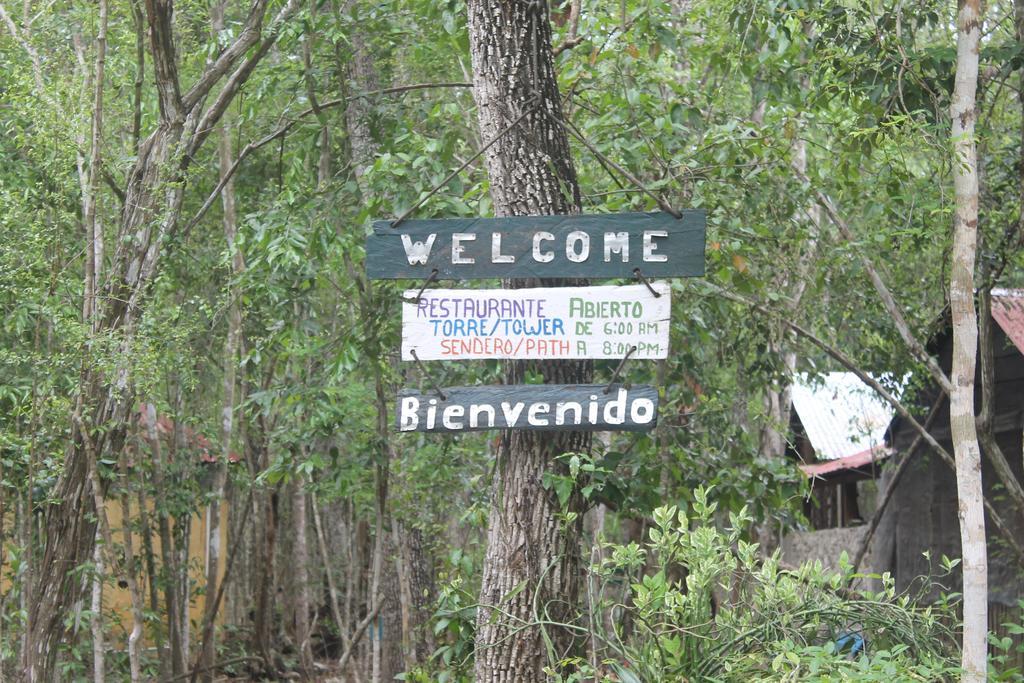 Campamento Yaax Che En Calakmul Conhuas ภายนอก รูปภาพ