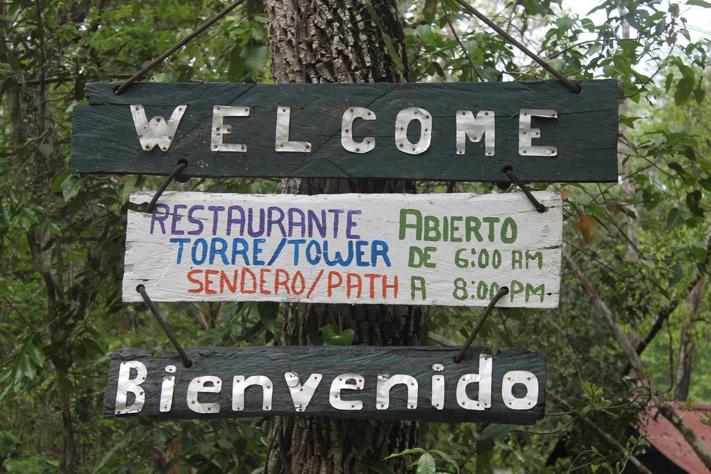 Campamento Yaax Che En Calakmul Conhuas ภายนอก รูปภาพ